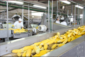 Food Grade Lubricants